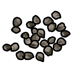 White Berry Seed